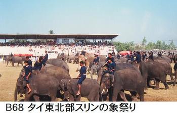B68 象祭り.jpg