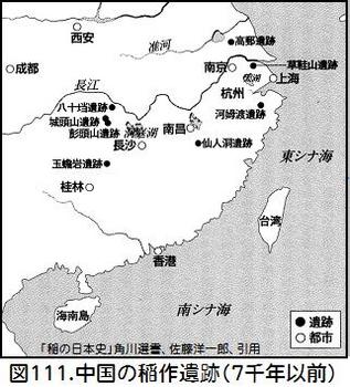 図111中国の稲作遺跡.jpg