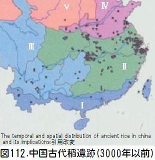 図112中国古代稲遺跡.jpg
